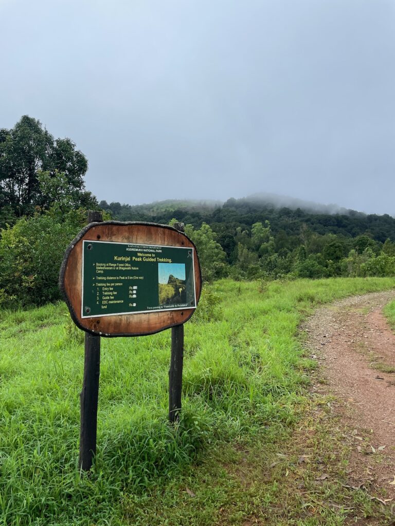 YHAI_Shimoga_Kurinjal_Trek