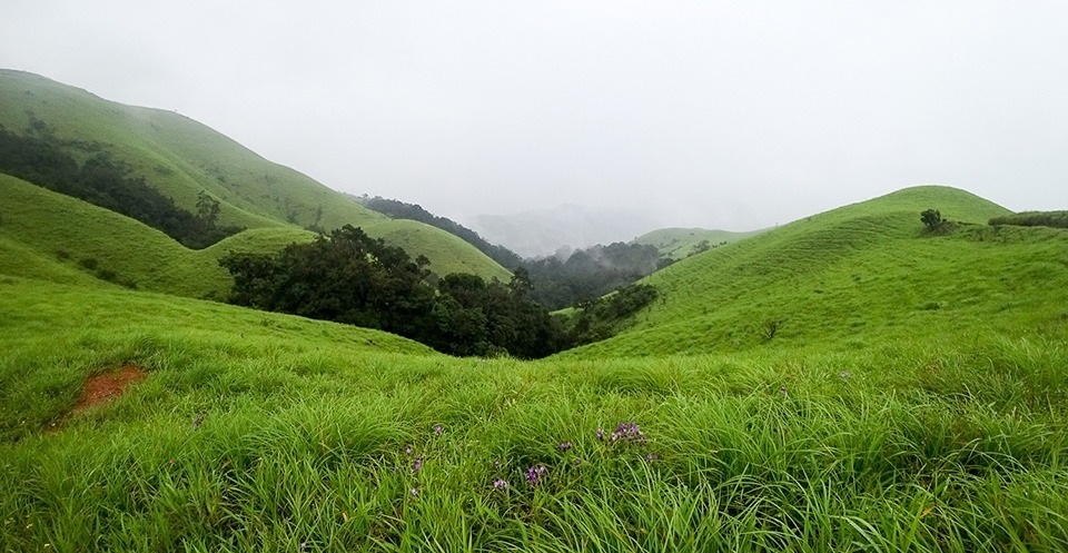 YHAI_Shimoga_Kurinjal_Trek